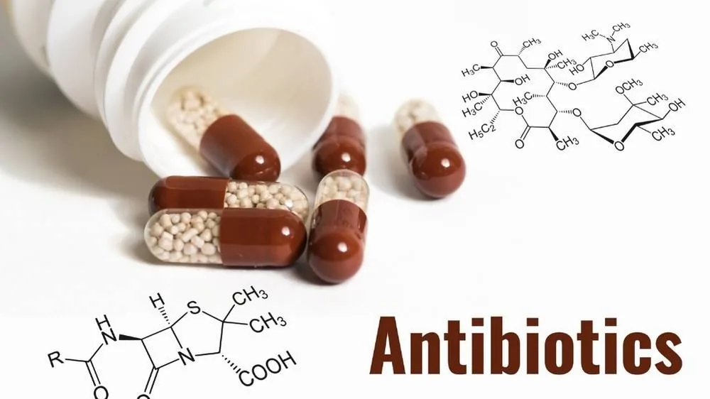 Clinical research and antibiotic study materials